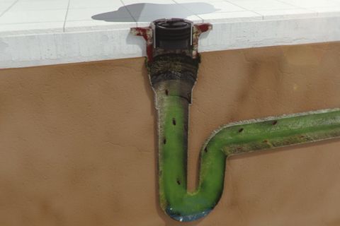 Green-drain-trap-sealer